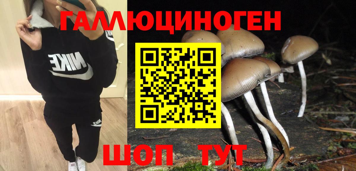 Ликино-Дулёво  Псилоцибиновые грибы прущие грибы  Вход с VPN 